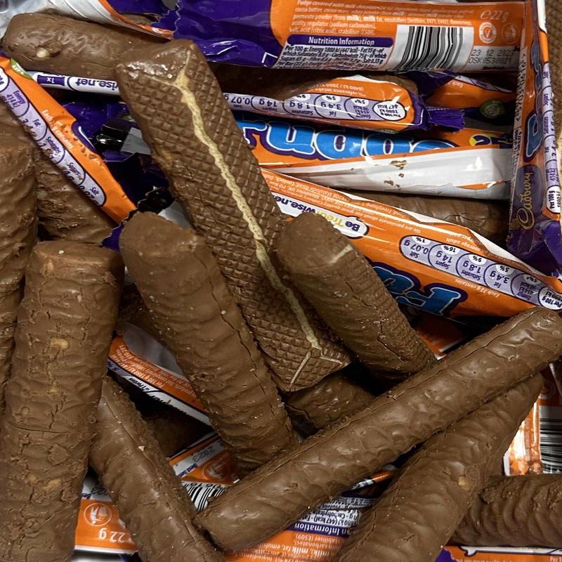 Freeze Dried Fudge Chocolate Sticks (3 Sticks)
