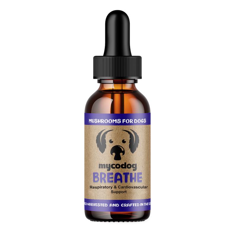 Breathe For Dogs