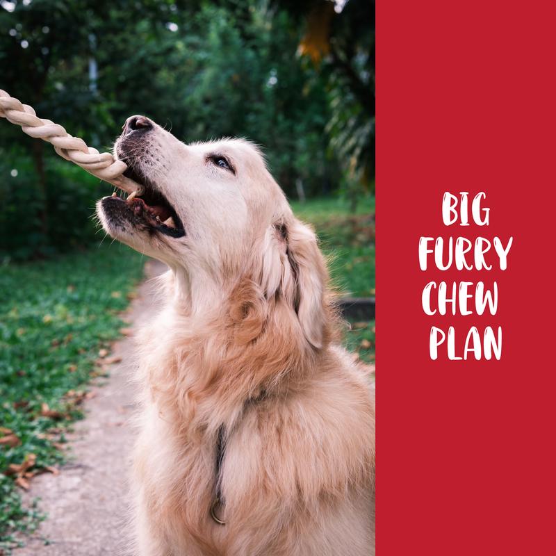 Pawspiracy Big Furry Friend Chew Plan 2026