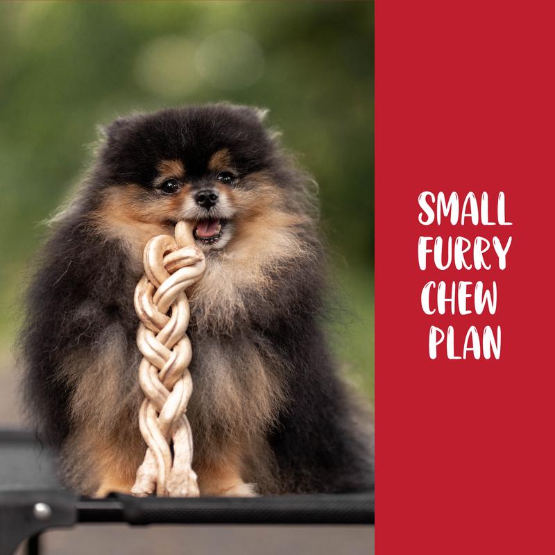 Pawspiracy Small Furry Friend Chew Plan 2026