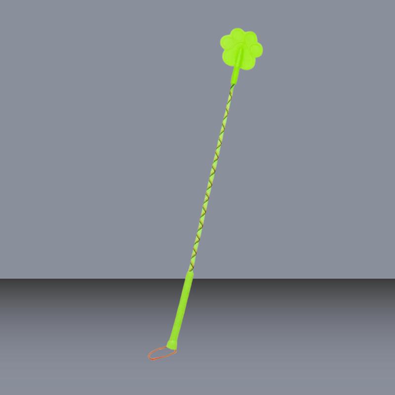 Bizzi Lizzi Pet Training Stick