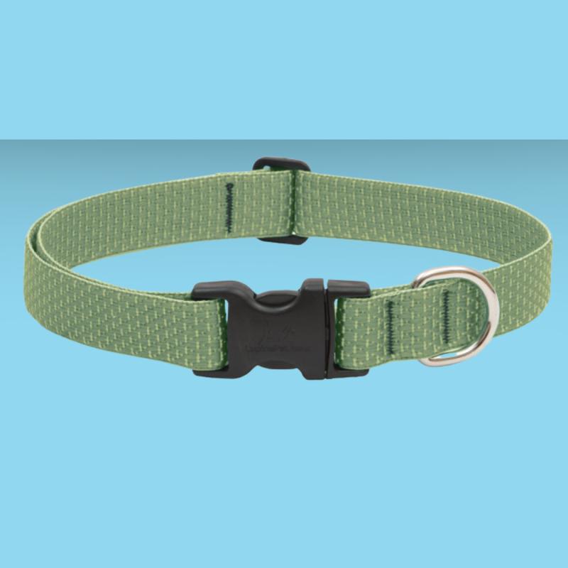 Lupine Eco 1\" Collar Moss 16-28\"