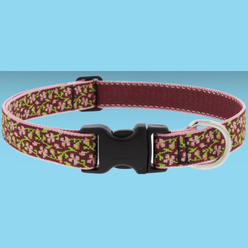 Lupine 1\" Collar Cherry Blossom 16-28\"