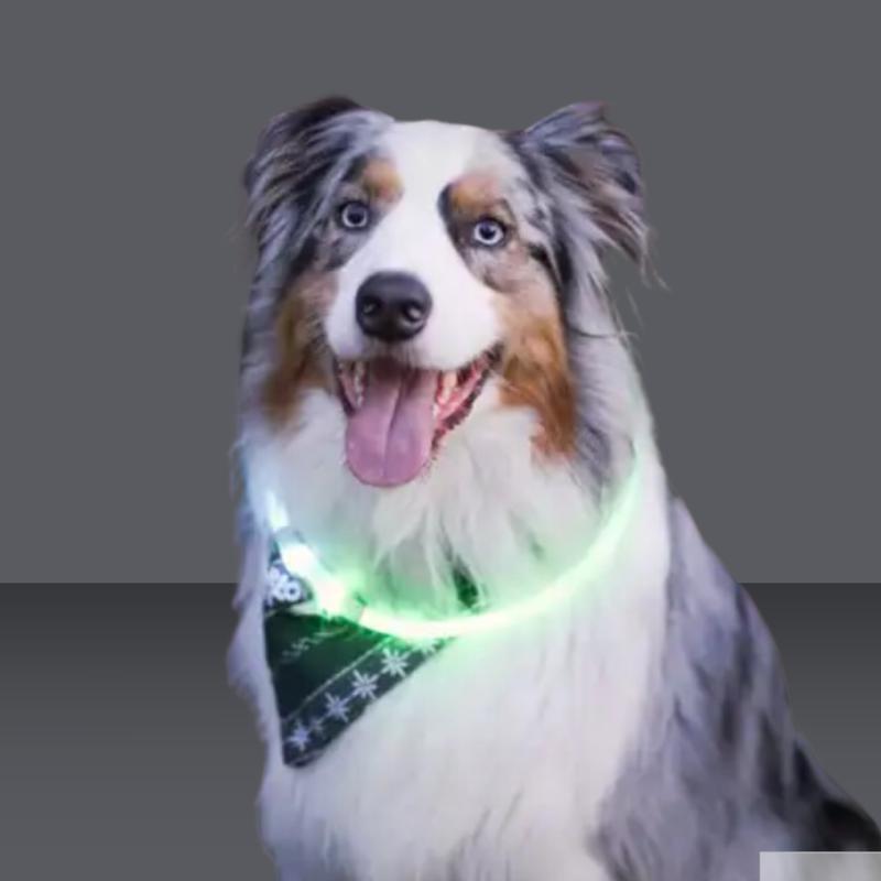 NiteIze LED Safety Necklace Green