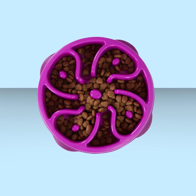 Outward Hound Fun Feeder Slo-Bowl Purple S