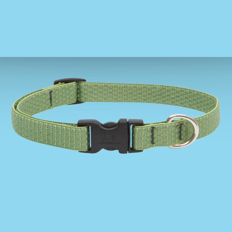 Lupine Eco 3/4\" Collar Moss 9-14\"