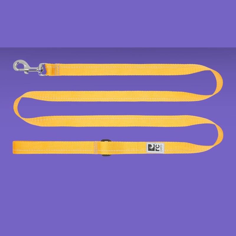 RC Pet Leash 1\” Primary Marigold 6\’