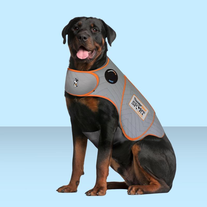 Thundershirt Sport Platinum XL