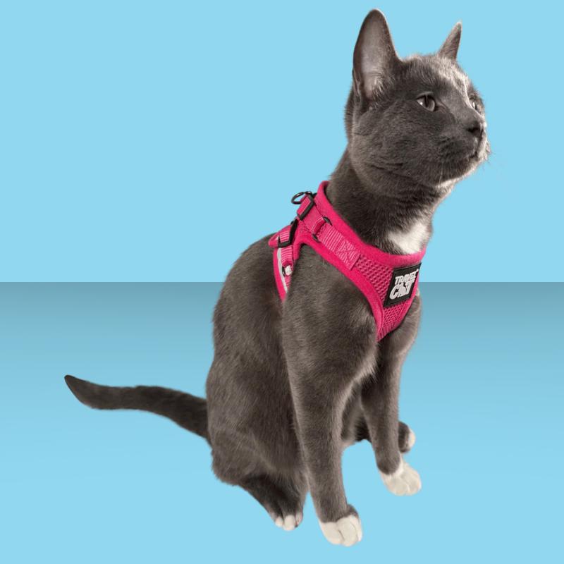 Travel Cat Harness and Leash Set Purrfectly Pink Iridescent M