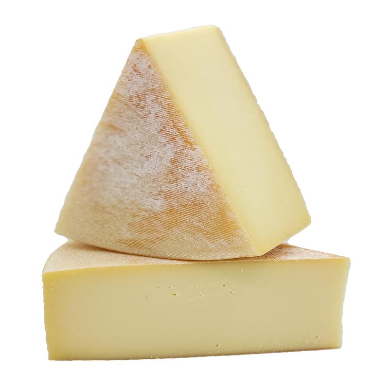 L\'Hercule