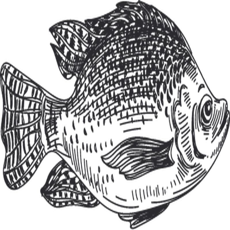 Wild Grey Sole Fillets - Nova Scotia