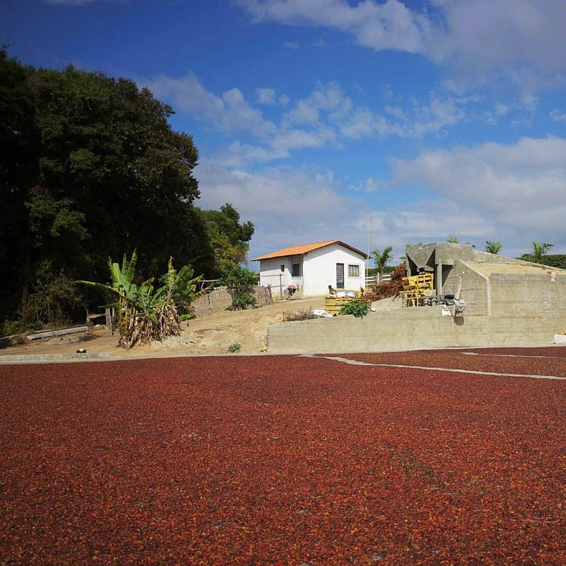Fazenda Cetec Naturale Lotto #3, Campo das Vertentes